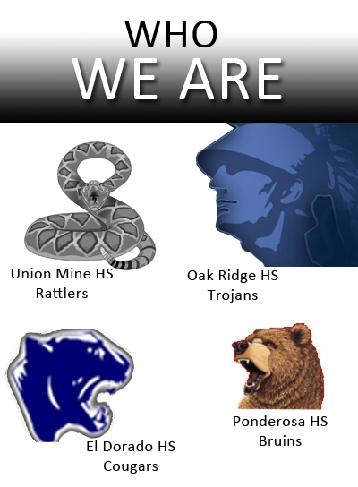 Our schools